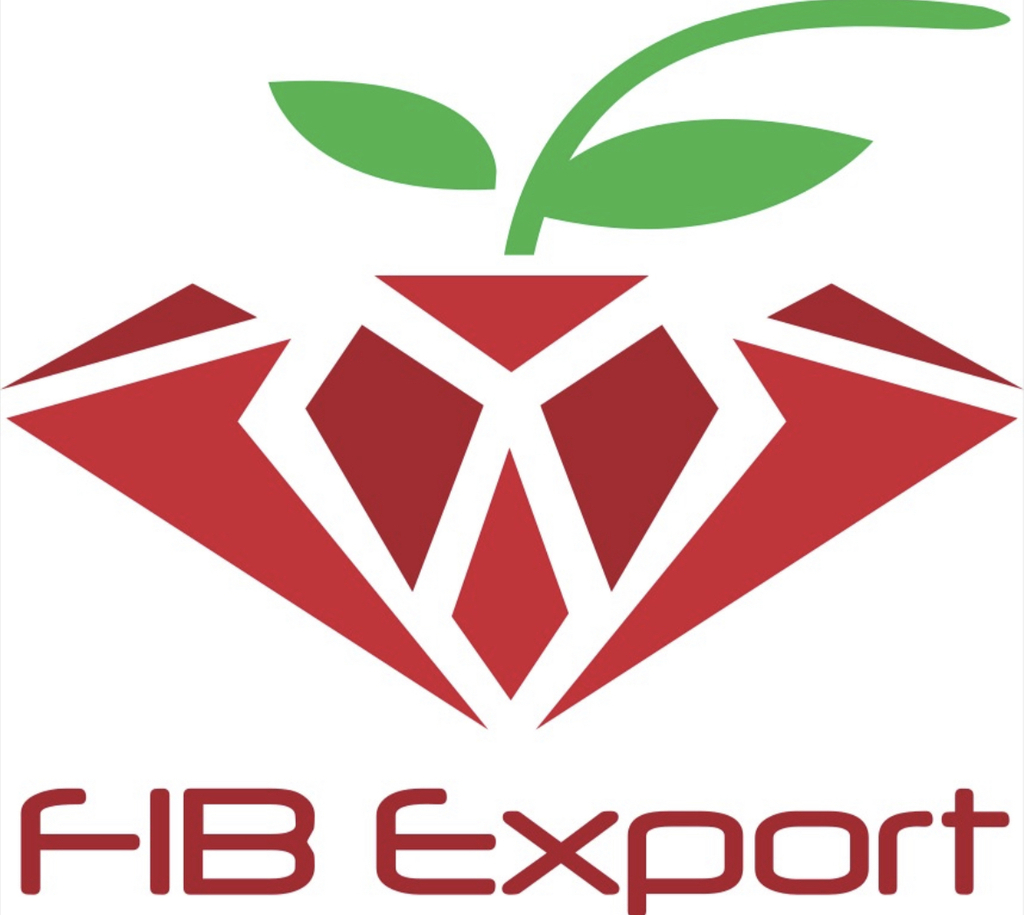fibexport.cl